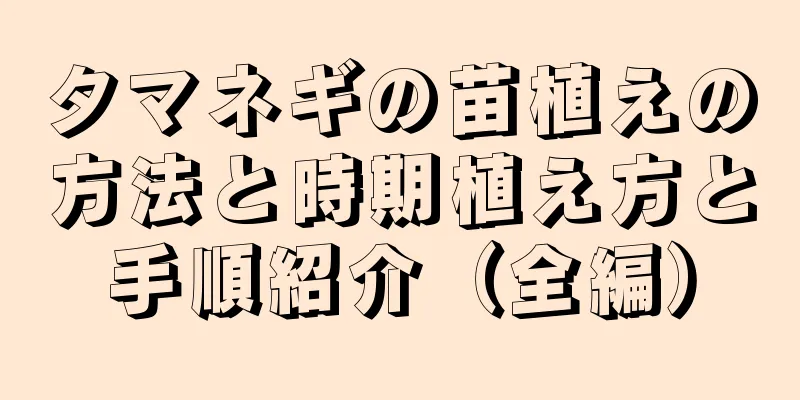 タマネギの苗植えの方法と時期植え方と手順紹介（全編）