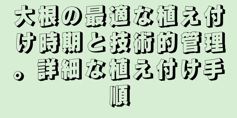 大根の最適な植え付け時期と技術的管理。詳細な植え付け手順