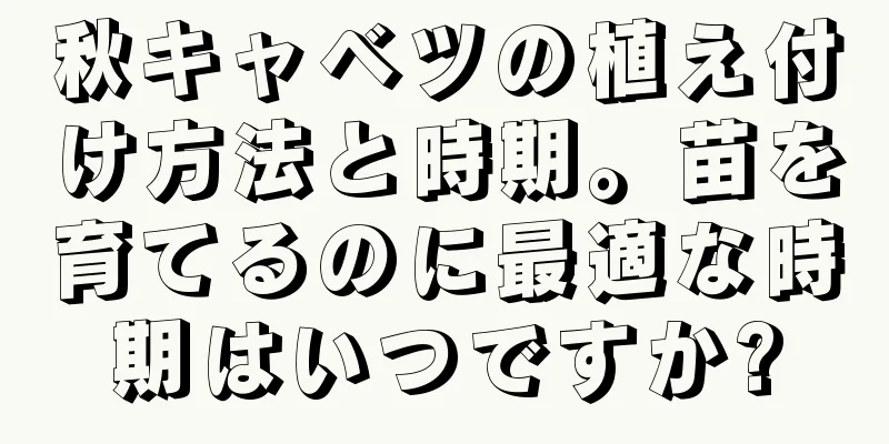 秋キャベツの植え付け方法と時期。苗を育てるのに最適な時期はいつですか?