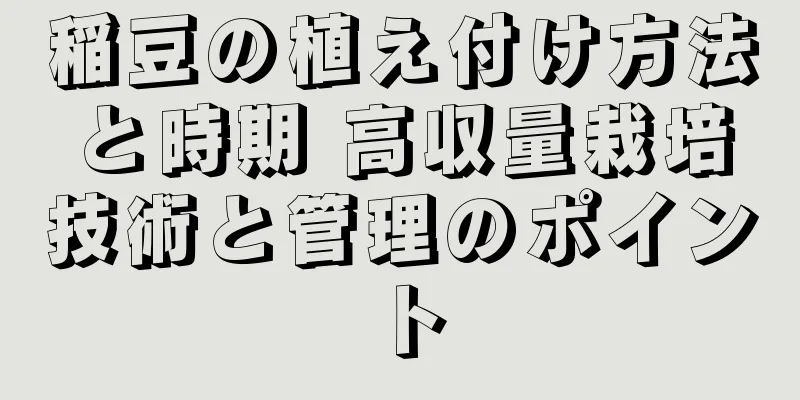 稲豆の植え付け方法と時期 高収量栽培技術と管理のポイント