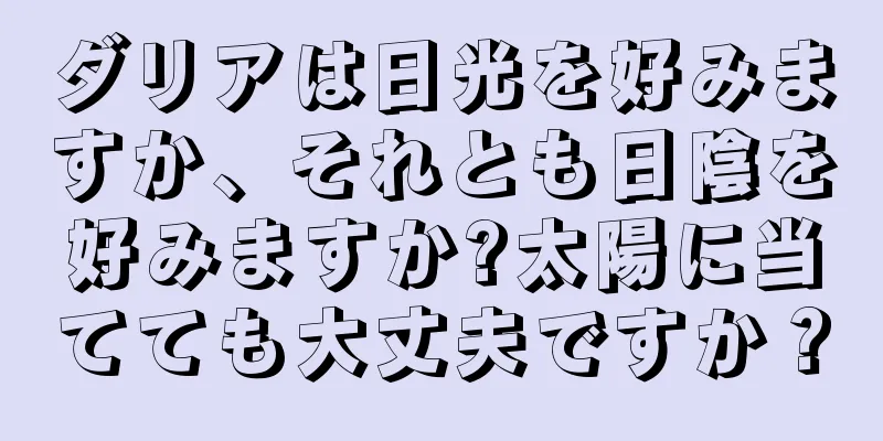 ダリアは日光を好みますか、それとも日陰を好みますか?太陽に当てても大丈夫ですか？
