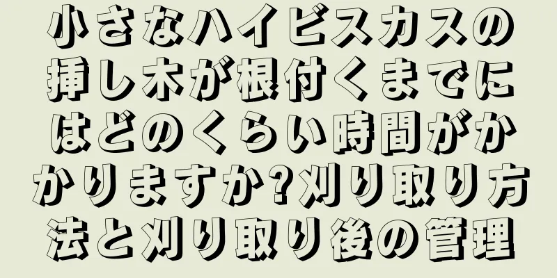 小さなハイビスカスの挿し木が根付くまでにはどのくらい時間がかかりますか?刈り取り方法と刈り取り後の管理