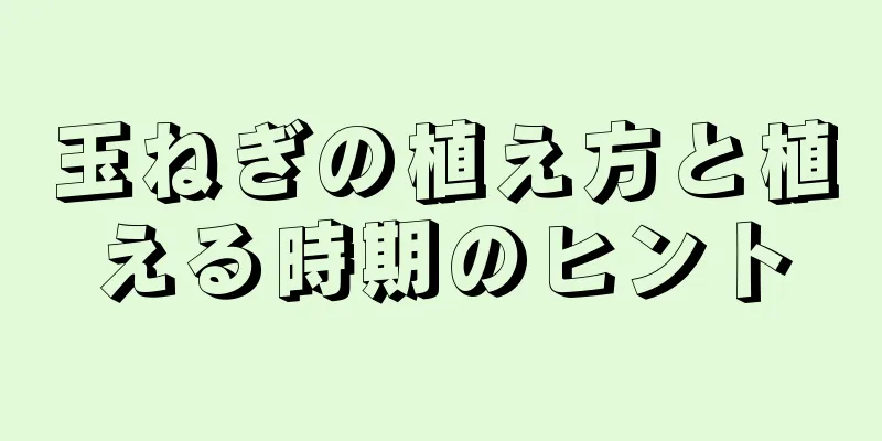 玉ねぎの植え方と植える時期のヒント