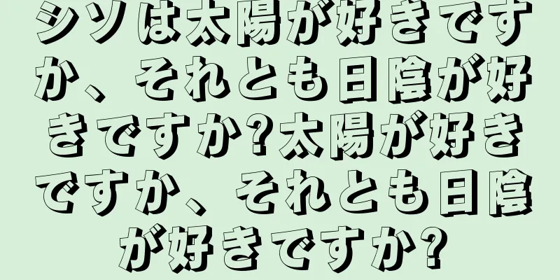 シソは太陽が好きですか、それとも日陰が好きですか?太陽が好きですか、それとも日陰が好きですか?