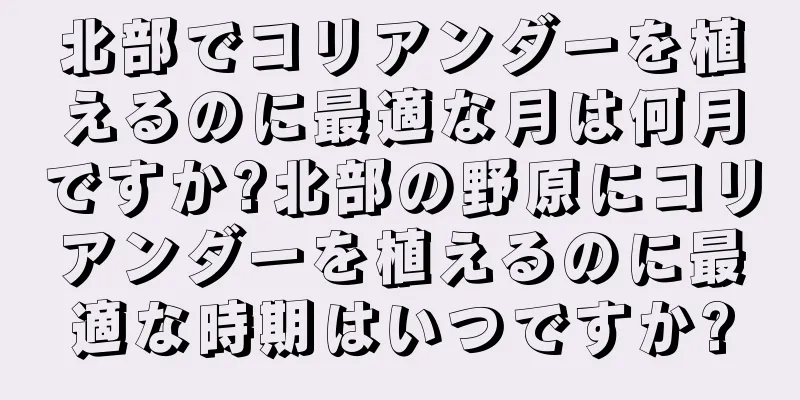 北部でコリアンダーを植えるのに最適な月は何月ですか?北部の野原にコリアンダーを植えるのに最適な時期はいつですか?