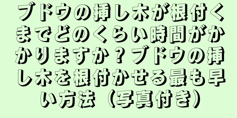 ブドウの挿し木が根付くまでどのくらい時間がかかりますか？ブドウの挿し木を根付かせる最も早い方法（写真付き）