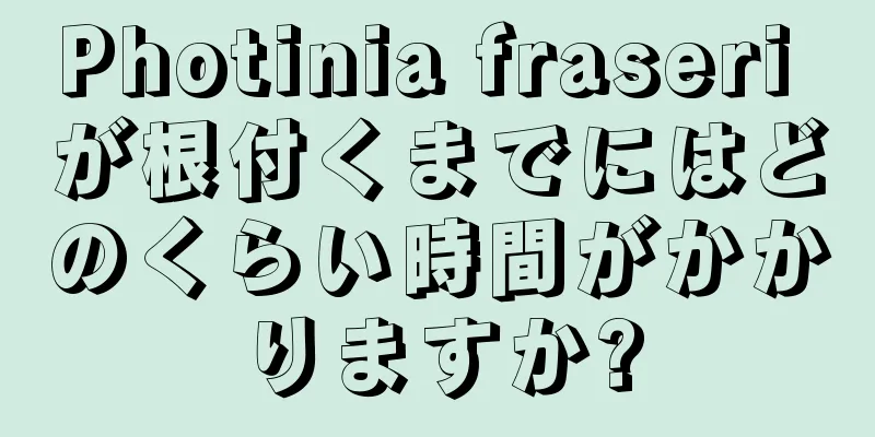 Photinia fraseri が根付くまでにはどのくらい時間がかかりますか?