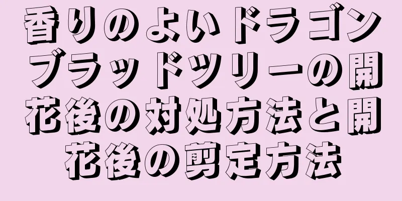 香りのよいドラゴンブラッドツリーの開花後の対処方法と開花後の剪定方法
