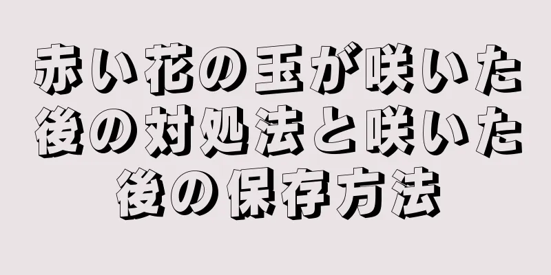 赤い花の玉が咲いた後の対処法と咲いた後の保存方法