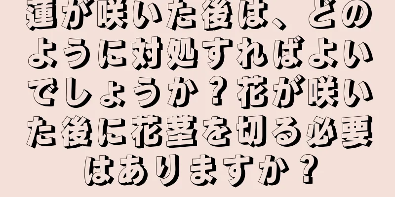 蓮が咲いた後は、どのように対処すればよいでしょうか？花が咲いた後に花茎を切る必要はありますか？