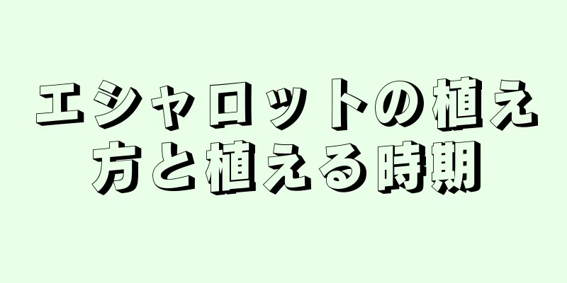 エシャロットの植え方と植える時期