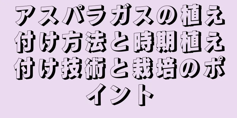 アスパラガスの植え付け方法と時期植え付け技術と栽培のポイント