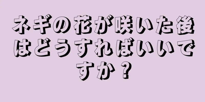 ネギの花が咲いた後はどうすればいいですか？