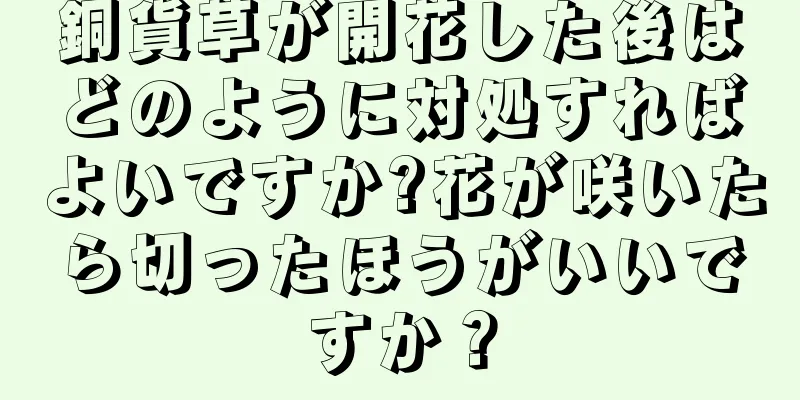 銅貨草が開花した後はどのように対処すればよいですか?花が咲いたら切ったほうがいいですか？