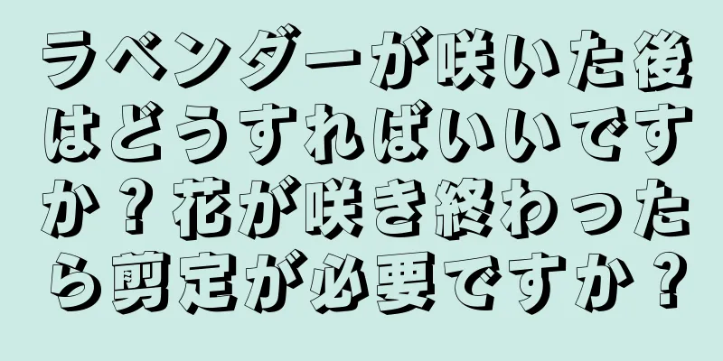 ラベンダーが咲いた後はどうすればいいですか？花が咲き終わったら剪定が必要ですか？