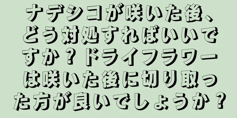 ナデシコが咲いた後、どう対処すればいいですか？ドライフラワーは咲いた後に切り取った方が良いでしょうか？