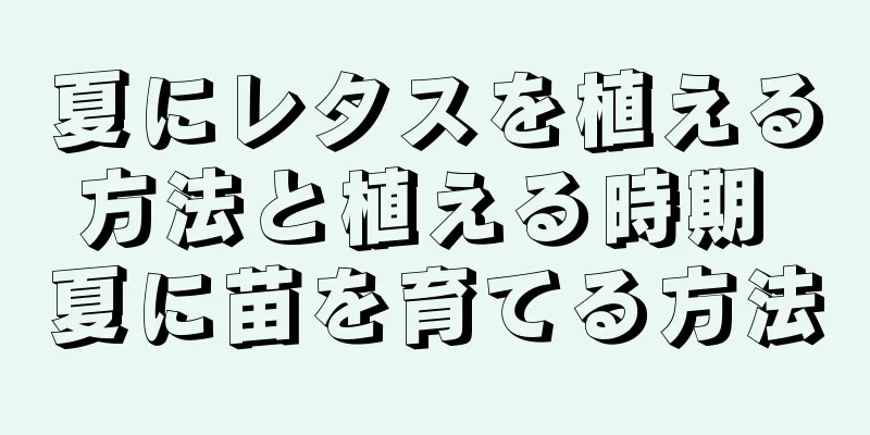 夏にレタスを植える方法と植える時期 夏に苗を育てる方法