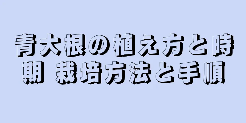 青大根の植え方と時期 栽培方法と手順