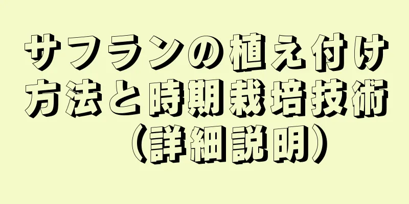 サフランの植え付け方法と時期栽培技術（詳細説明）
