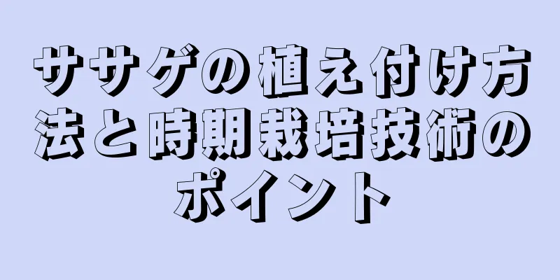 ササゲの植え付け方法と時期栽培技術のポイント