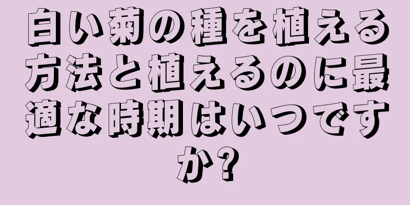 白い菊の種を植える方法と植えるのに最適な時期はいつですか?