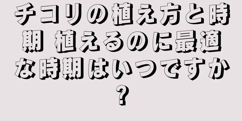 チコリの植え方と時期 植えるのに最適な時期はいつですか?