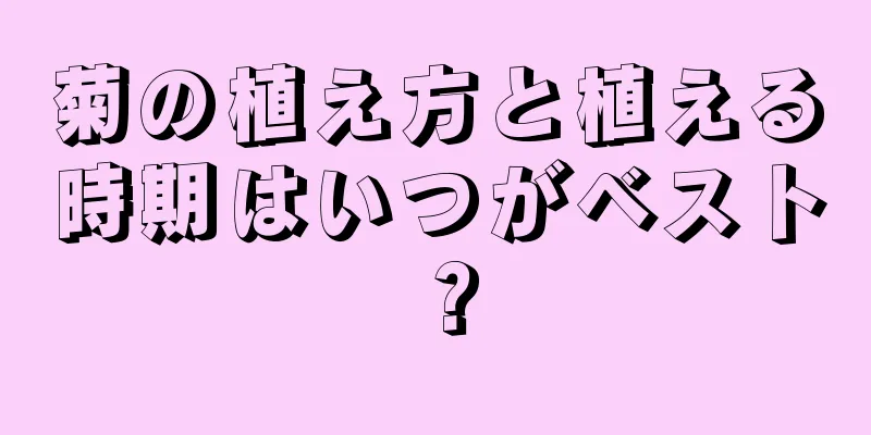 菊の植え方と植える時期はいつがベスト？