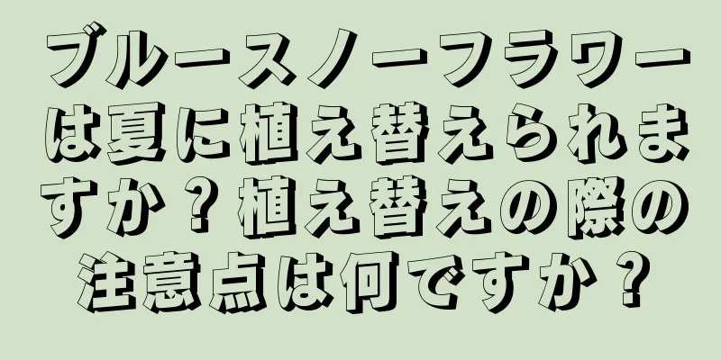 ブルースノーフラワーは夏に植え替えられますか？植え替えの際の注意点は何ですか？