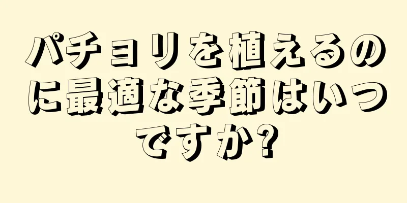 パチョリを植えるのに最適な季節はいつですか?