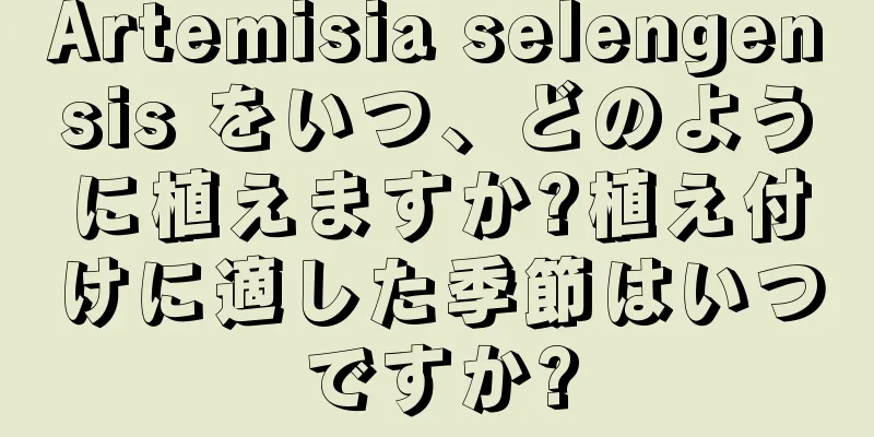 Artemisia selengensis をいつ、どのように植えますか?植え付けに適した季節はいつですか?