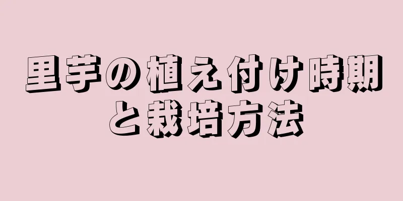 里芋の植え付け時期と栽培方法
