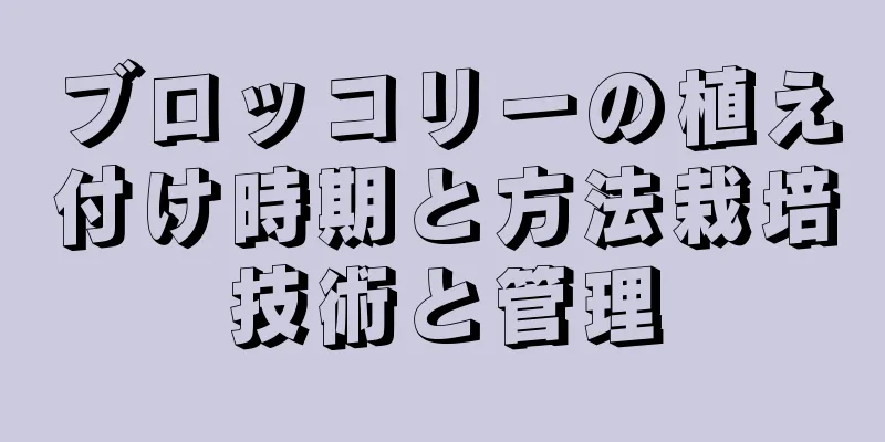 ブロッコリーの植え付け時期と方法栽培技術と管理