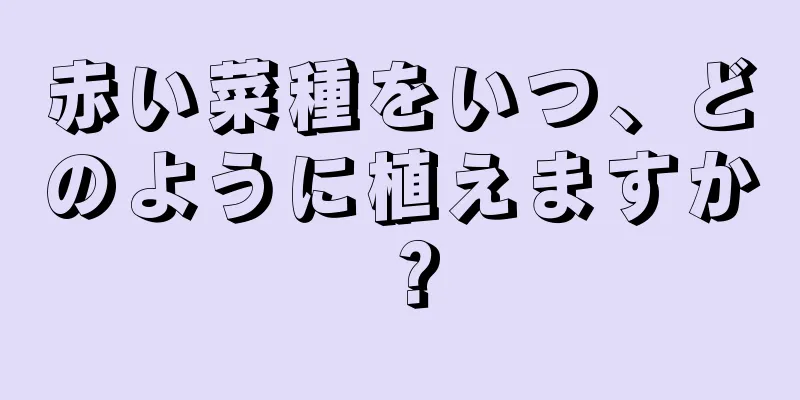 赤い菜種をいつ、どのように植えますか？
