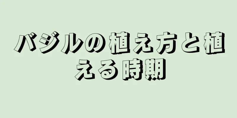 バジルの植え方と植える時期