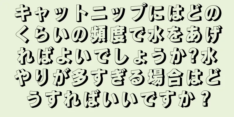 キャットニップにはどのくらいの頻度で水をあげればよいでしょうか?水やりが多すぎる場合はどうすればいいですか？