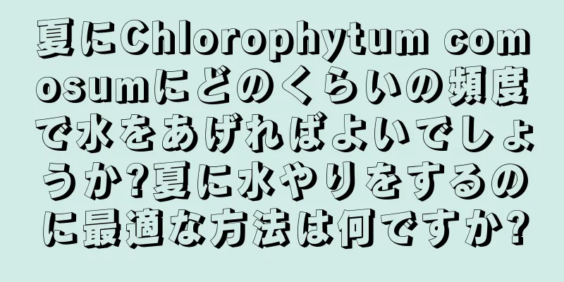夏にChlorophytum comosumにどのくらいの頻度で水をあげればよいでしょうか?夏に水やりをするのに最適な方法は何ですか?
