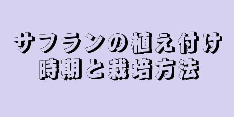 サフランの植え付け時期と栽培方法