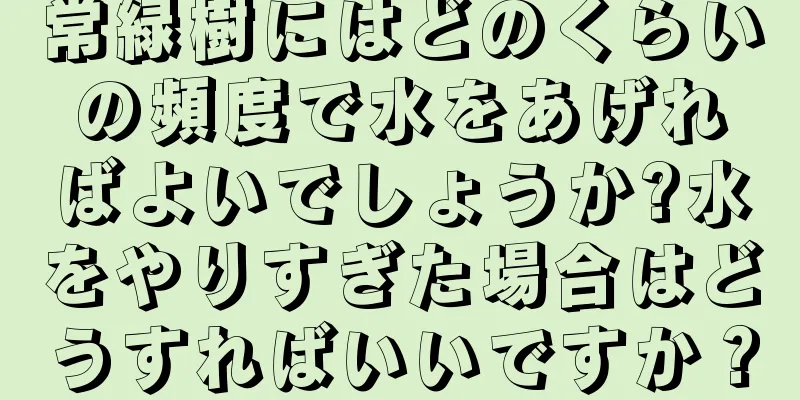 常緑樹にはどのくらいの頻度で水をあげればよいでしょうか?水をやりすぎた場合はどうすればいいですか？