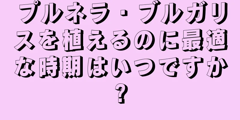 プルネラ・ブルガリスを植えるのに最適な時期はいつですか?