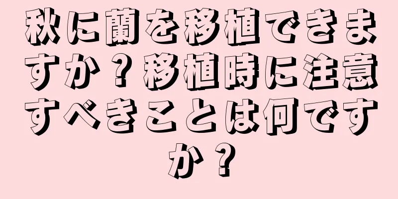 秋に蘭を移植できますか？移植時に注意すべきことは何ですか？
