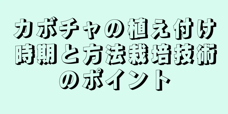 カボチャの植え付け時期と方法栽培技術のポイント