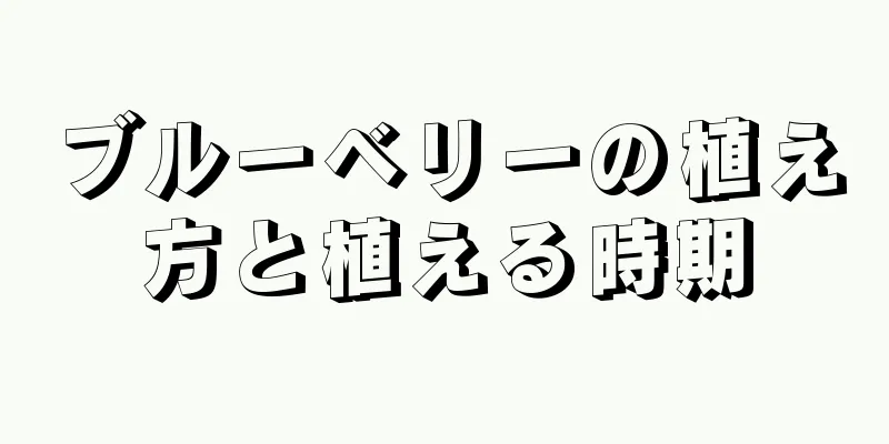 ブルーベリーの植え方と植える時期