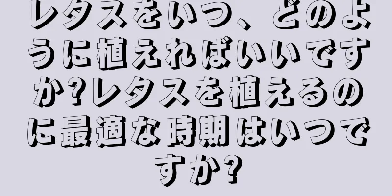 レタスをいつ、どのように植えればいいですか?レタスを植えるのに最適な時期はいつですか?