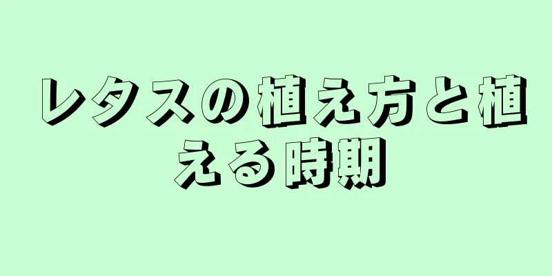 レタスの植え方と植える時期