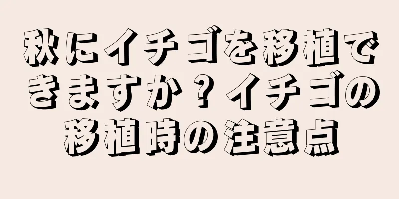 秋にイチゴを移植できますか？イチゴの移植時の注意点