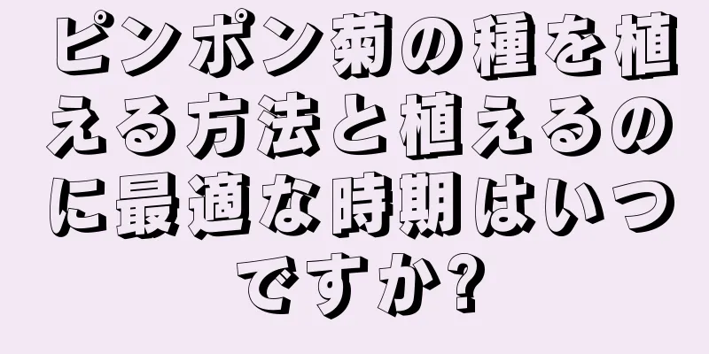 ピンポン菊の種を植える方法と植えるのに最適な時期はいつですか?