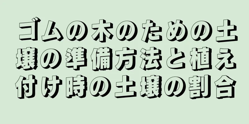 ゴムの木のための土壌の準備方法と植え付け時の土壌の割合