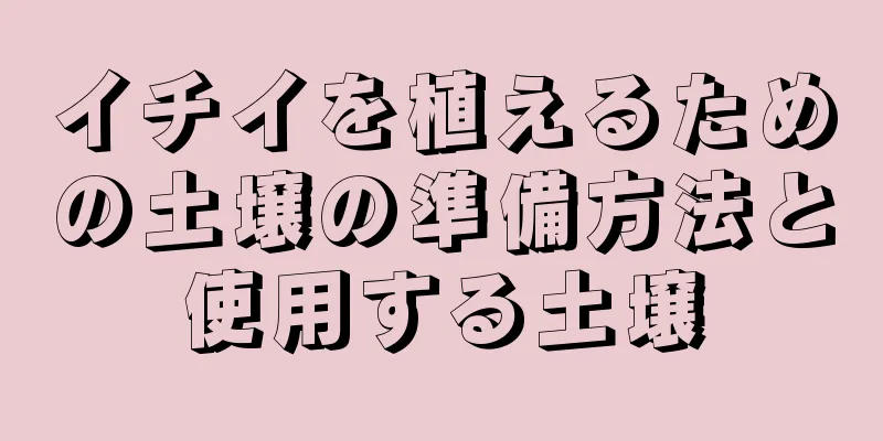 イチイを植えるための土壌の準備方法と使用する土壌