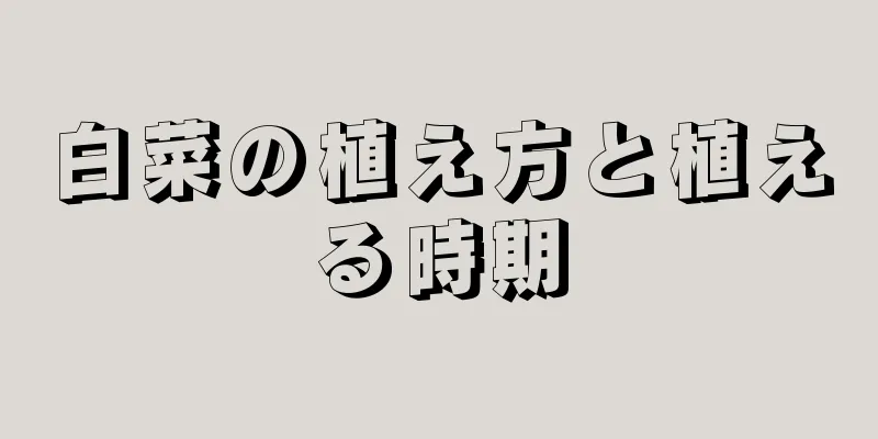 白菜の植え方と植える時期