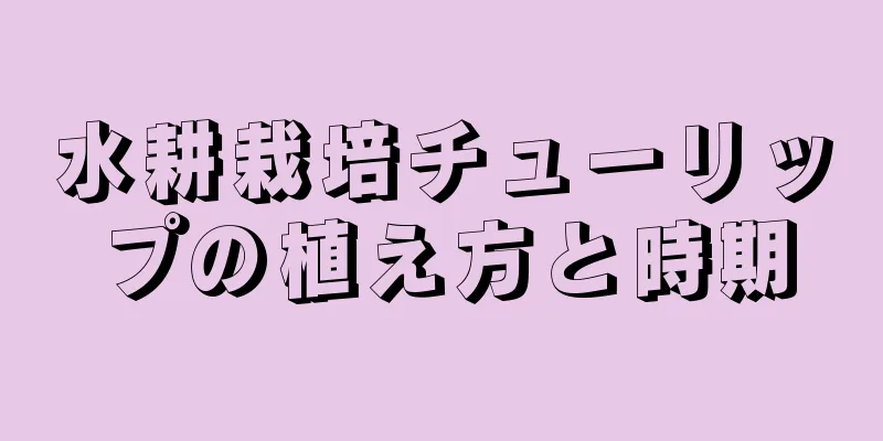 水耕栽培チューリップの植え方と時期